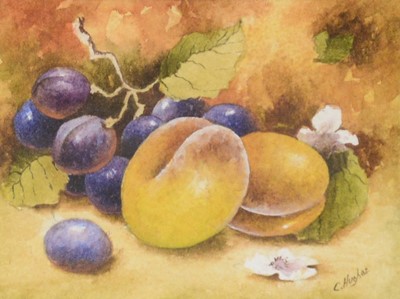 Lot 320 - Christopher Hughes, Fruit against a mossy bank, a pair
