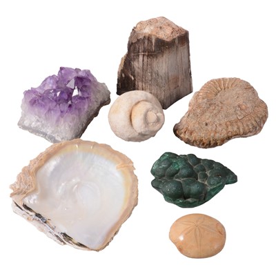 Lot 94 - Small collection of minerals, fossils, and other natural history