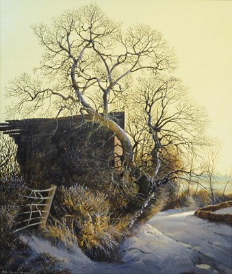 Lot 304 - Peter Newcombe, Plumpton Oak