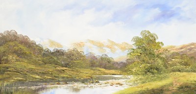 Lot 329 - Terry Evans, The Cairngorms