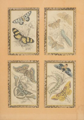 Lot 390 - Isaac, Robert and George Cruikshank, A 'Look In' at Tattersal's. aquatint, etc.