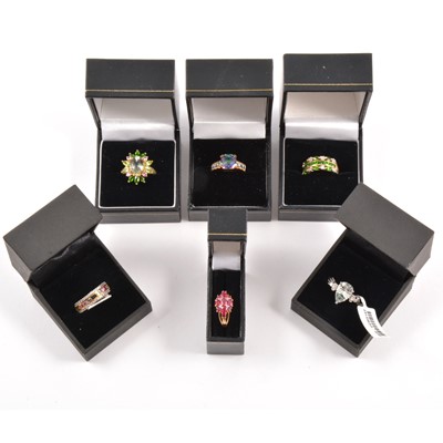 Lot 123 - Eighteen modern gemset 9 carat gold rings.